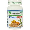 Planet Ayurveda FENUGYM 60 kapsúl – ovplyvňuje hladinu cukru v krvi Planet Ayurveda FENUGYM 60 kapsúl – ovplyvňuje hladinu cukru v krvi