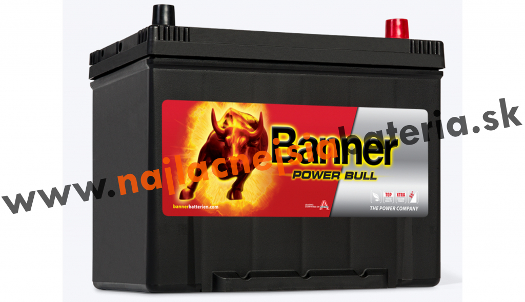 Banner Power Bull 12V 70Ah 600A P7029