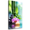 Vertikálny foto obraz na plátne Orchidea a bambus 50x100 cm Vertikálny foto obraz na plátne Orchidea a bambus 50x100 cm