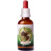 Trávníček Dračia krv - Borovica tinktúra 50 ml Trávníček Dračia krv - Borovica tinktúra 50 ml