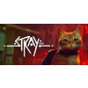Stray Stray