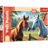 Trefl Puzzle 200 Kone na čistinke 13328 Trefl Puzzle 200 Kone na čistinke 13328