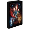 Stranger Things, 30 × 40 cm – LED svietiaci obraz Stranger Things, 30 × 40 cm – LED svietiaci obraz