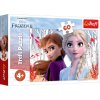 TREFL Puzzle Frozen - Čarovný svet Anny a Elsy 60 dielikov TREFL Puzzle Frozen - Čarovný svet Anny a Elsy 60 dielikov