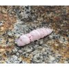 FISHUP Pupa 1,2 FISHUP Pupa 1,2