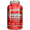 Amix Creatine Monohydrate 750mg 220 kapsúl Amix Creatine Monohydrate 750mg 220 kapsúl