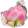 Nálepka fototapeta 3D výhľad Ružové tulipány 75x75 cm Nálepka fototapeta 3D výhľad Ružové tulipány 75x75 cm