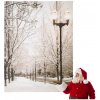 Vianočný svetelný obraz 16 LED 40 × 30 cm Vianočný svetelný obraz 16 LED 40 × 30 cm