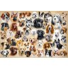 Puzzle 200 Dielikov Koláž so Psami CASTOR Puzzle 200 Dielikov Koláž so Psami CASTOR