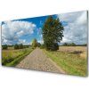Obraz na skle Dedina cesta dlažba krajina 100x50 cm Obraz na skle Dedina cesta dlažba krajina 100x50 cm