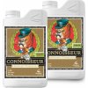 Advanced Nutrients pH Perfect Connoisseur COCO Grow A+B 1 l