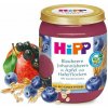 HIPP BIO Čučoriedka s Čiernymi Ríbezľami a Ovsenou Kašou 8m+ HIPP BIO Čučoriedka s Čiernymi Ríbezľami a Ovsenou Kašou 8m+