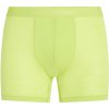 Pánske boxerky Icebreaker Merino 125 Cool-Lite Anatomica Boxers Peridot L Pánske boxerky Icebreaker Merino 125 Cool-Lite Anatomica Boxers Peridot L