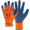Canis CXS INDUSTRY ROXY WINTER
