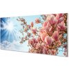 Obraz plexi Magnólie neba slnko 100x50 cm Obraz plexi Magnólie neba slnko 100x50 cm