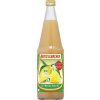 Beutelsbacher BIO Citrónová šťava 100% 0,7 l Beutelsbacher BIO Citrónová šťava 100% 0,7 l