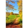 DIMEX | Vliesové fototapety na stenu Lúka MS-2-0066 | 150 x 250 cm | zelená, žltá, modrá, červená + Vliesová fototapeta na stenu DIMEX Lúka MS20066 v rozmere 375 x 250 cm DIMEX | Vliesové fototapety na stenu Lúka MS-2-0066 | 150 x 250 cm | zelená, žltá, modrá, červená + Vliesová fototapeta na stenu DIMEX Lúka MS20066 v rozmere 375 x 250 cm