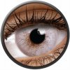 Maxvue Vision ColourVue Hydroxy Graphite 2 šošovky mesačné nedioptrické