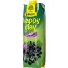 Rauch Happy Day Čierna ríbezľa 25% 1l Rauch Happy Day Čierna ríbezľa 25% 1l