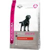 Eukanuba Labrador Retriever 12 kg