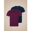 CityZen - AGEN Výhodná sada 2 pánskych tričiek navy a bordó 5XL CityZen - AGEN Výhodná sada 2 pánskych tričiek navy a bordó 5XL