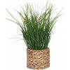Atmosphera Umělá tráva v květináči s vodním hyacintem, výška 70 cm Atmosphera Umělá tráva v květináči s vodním hyacintem, výška 70 cm
