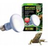 Hagen žárovka Exo Terra Daylight Basking Spot 100 W Hagen žárovka Exo Terra Daylight Basking Spot 100 W