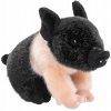 Eco-Friendly Prase 19 cm Eco-Friendly Prase 19 cm