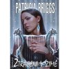 Ztraceni v zimě - Briggs Patricia Ztraceni v zimě - Briggs Patricia