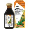 Salus Floradix Magnesium 250 ml Salus Floradix Magnesium 250 ml