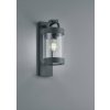 TRIO 204160142 Sambesi exteriérové nástenné svietidlo E27 1x28W IP44 so súmrakovým snímačom TRIO 204160142 Sambesi exteriérové nástenné svietidlo E27 1x28W IP44 so súmrakovým snímačom