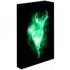 Paladone Svietiaci obraz Harry Potter - Patronus Paladone Svietiaci obraz Harry Potter - Patronus