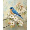 ZUTY Obrazy na stenu - MODRÝ VTÁK NA KONÁRI A BIELE KVETY Rámovanie: vypnuté plátno na rám, Rozmer: 40x50 cm ZUTY Obrazy na stenu - MODRÝ VTÁK NA KONÁRI A BIELE KVETY Rámovanie: vypnuté plátno na rám, Rozmer: 40x50 cm