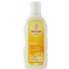 Weleda Ovesný regenerační šampón pro suché a poškozené vlasy 190 ml Weleda Ovesný regenerační šampón pro suché a poškozené vlasy 190 ml