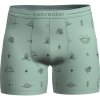 Icebreaker M Mer 150 Anatomica Boxers Explore More Mint