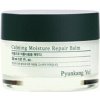 Pyunkang Yul Calming Moisture Repair Balm 30 ml Pyunkang Yul Calming Moisture Repair Balm 30 ml