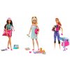 Mattel Barbie WELLNESS bábika asst Mattel Barbie WELLNESS bábika asst