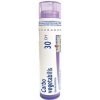 Carbo Vegetabilis gra.1 x 4 g 30CH Carbo Vegetabilis gra.1 x 4 g 30CH