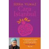 Cara Istanbul Cara Istanbul