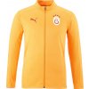 Puma Galatasaray Istanbul Training Jacket 77968711-202