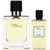 Hermes Terre D Hermes Men SET II. Eau de Toilette 100 ml + shower gel 80 ml Hermes Terre D Hermes Men SET II. Eau de Toilette 100 ml + shower gel 80 ml
