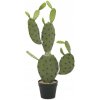 Kaktus Nopal, 75cm Kaktus Nopal, 75cm