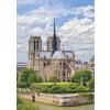 Dino Cathédrale Notre-Dame de Paris 1000 dielov