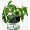 Samozavlažovací kvetináč Canopy, výška 13 cm, číry - LSA International Samozavlažovací kvetináč Canopy, výška 13 cm, číry - LSA International