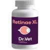 Retinae+ XL na podporu zdravia očí pre psy a mačky 30tbl Retinae+ XL na podporu zdravia očí pre psy a mačky 30tbl