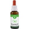 Zelená Země Konopný olej s tea tree olejom 30 ml Zelená Země Konopný olej s tea tree olejom 30 ml