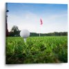 Sablio Obraz Golf - 50x50 cm Sablio Obraz Golf - 50x50 cm