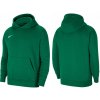 Nike Park 20 Fleece Pullover Hoodie Junior CW6896-302