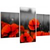 Vlčie maky - moderné obrazy (Obraz 90x60cm) Vlčie maky - moderné obrazy (Obraz 90x60cm)