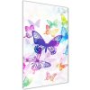Vertikálny foto obraz sklo tvrdené Farební motýle 50x100 cm Vertikálny foto obraz sklo tvrdené Farební motýle 50x100 cm